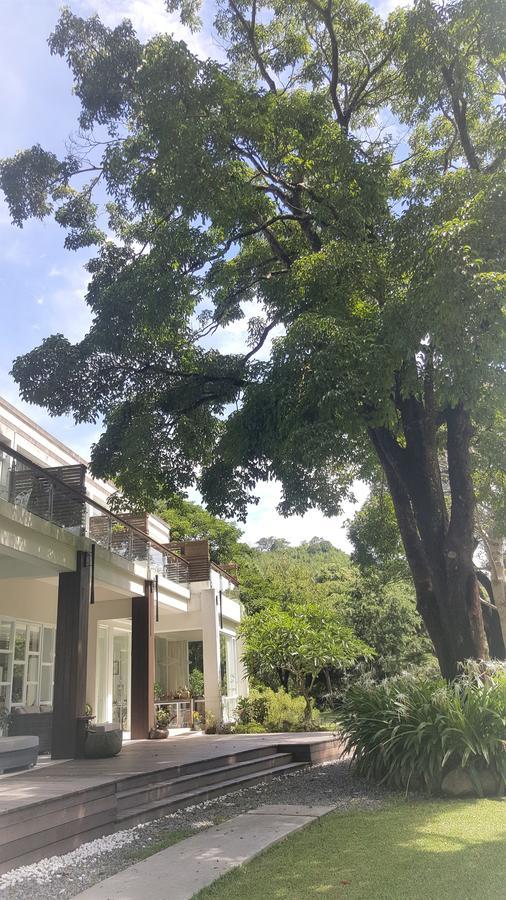 Around The Tree Manor Leilighet Shitan Rom bilde
