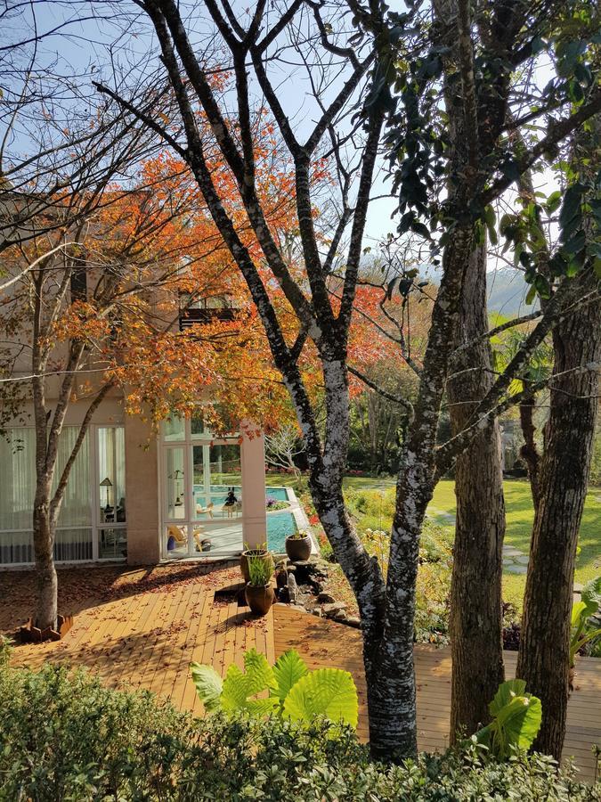 Around The Tree Manor Leilighet Shitan Rom bilde