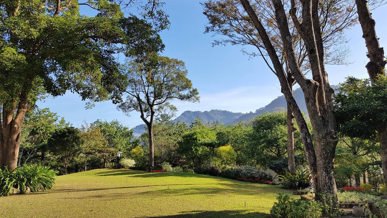 Around The Tree Manor Leilighet Shitan Rom bilde