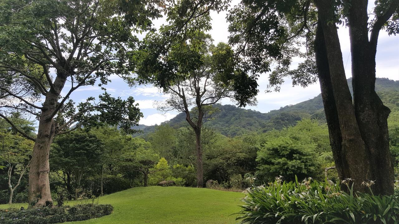 Around The Tree Manor Leilighet Shitan Rom bilde