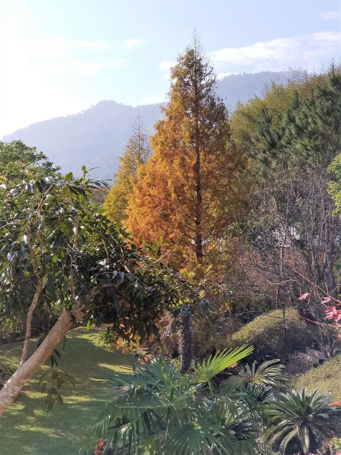 Around The Tree Manor Leilighet Shitan Rom bilde